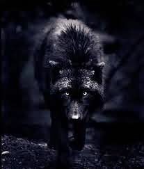 cropped-darkwolf.jpeg